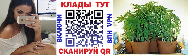 Наркота Ангарск Cocaine  Экстази  Бошки Шишки  Псилоцибиновые грибы  Гашиш  СК 