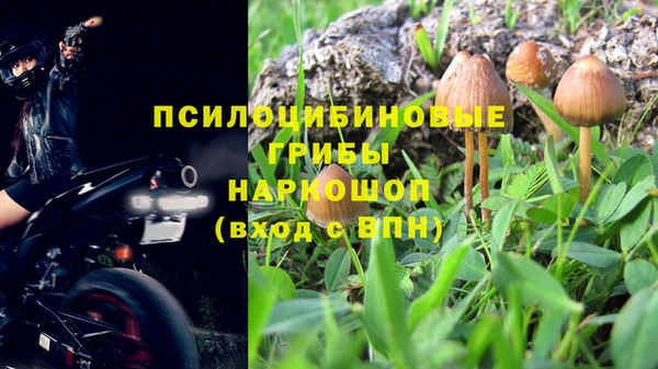 соль курить ск Алзамай