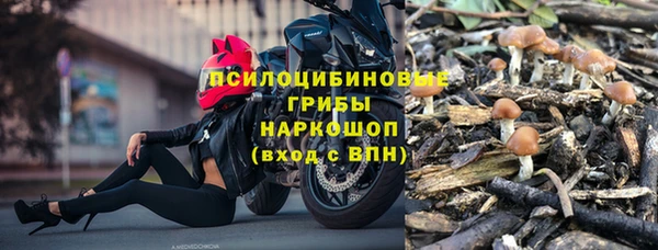хмурый Абинск