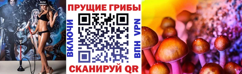 Псилоцибиновые грибы ЛСД Ангарск