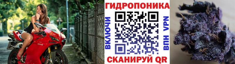 блэк спрут сайт  Ангарск  Каннабис план 